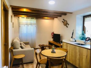 Apartamentos Zabalarena Artzaia - Orbaizeta - 0