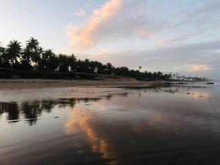 Casa da mata- Vista linda pra mata e jardim privativo - 2