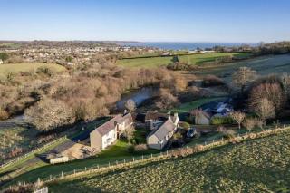 Buttercup - Saundersfoot - 1