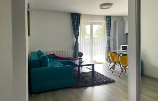 Mountain River Loft - Buşteni - 1