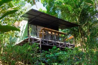Eden Organic Farm & Bungalows - Fortuna - 2