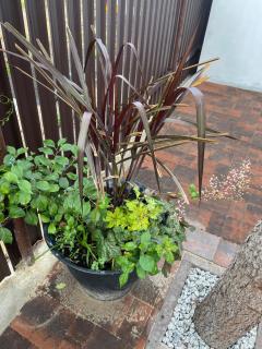 Zajazd SIÓDEMKA - 2