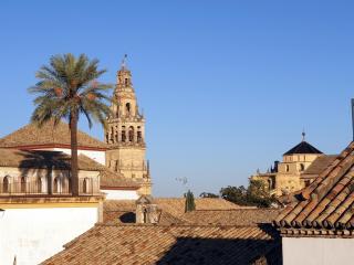 Entre patios y flores - Córdoba - 9