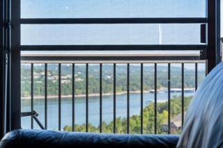 Shagbark Hickory -- 1010 - 3