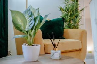 Mayfield Two - Central Harrogate Apartment - 2