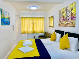London Studio Apartments, Private Bathroom, Kitchenette, Parking, NP3 - Londra - 5