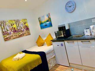 London Studio Apartments, Private Bathroom, Kitchenette, Parking, NP4 - Londra - 5