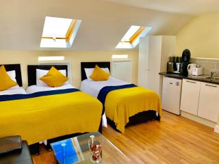 London Studio Apartments, Private Bathroom, Kitchenette, Parking, NP7 - Londra - 4