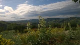 Agriturismo Castelli In Aria - Atri - 7