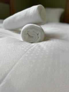 Japow House 2 on Main Street - 7