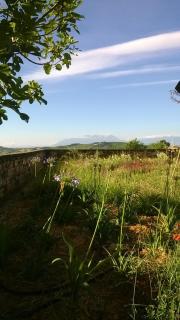 Agriturismo Castelli In Aria - Atri - 9