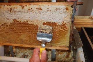 Ferienwohnungen beim Imker - 4