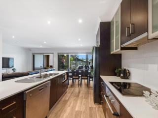 Cypress 31 A - 8