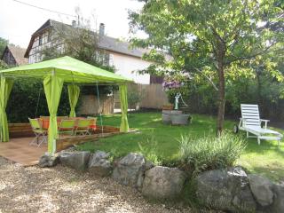 Gîte Alsacien Authentique | 6 Pers. | Terrasses & Jardin | Adapté PMR - FR-1-744-18 - Bretten - 8