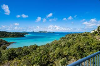 Picturesque on Passage - Shute Harbour - Shute Harbour - 9