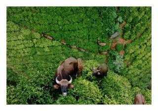 Fortune Retreats - 7