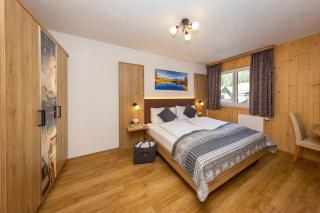 Apart- und Wellnesshotel Dachsteinresort - Russbach am Pass Gschütt - 9