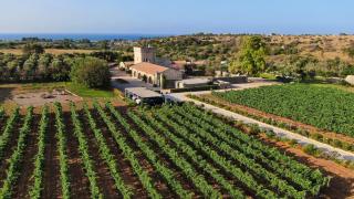 Masseria Fano Relais & Wine - Salve - 0