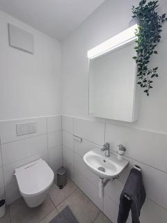 Spacious apartment next to Rhine - Basilea - 2