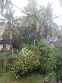 Sunrise City Palace - Negombo - 2