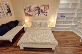 Apartman Meri - Tošin Bunar - 9