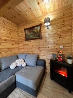 DOMEK LETNISKOWY POD BRZOZAMI na Roztoczu wśród lasów, Zamość, Krasnobród, Zwierzyniec - Adamów - 7