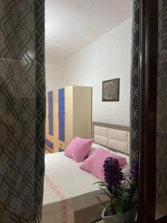 The Nest Apartment Tirana - 1