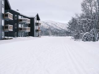 Beautiful apartment - high standard - Geilo centre - 7