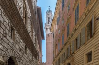Colours Studio 10 m away Piazza del Campo - Siena - 7
