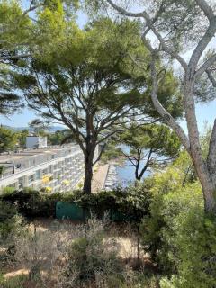 Luminous cocoon with Athena Port pool - Bandol - 2