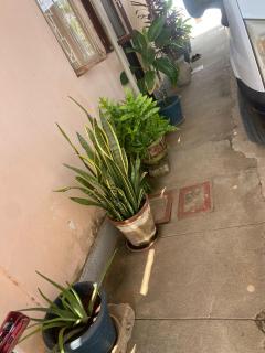 Aeropark Residencial(1) - Maputo - 4