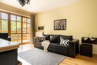 Apartmenty Szczęśliwa 13 i Aramis w centrum APARTZAKOP - 6