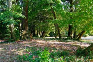 Château de Thouaré - 4