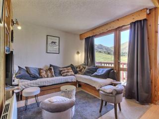 Duplex calme au pied des pistes, balcon et animaux acceptés - FR-1-455-232 - La Plagne Tarentaise - 0