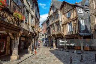 CHAMBRE DOUILLETTE DANS LONGERE AU VERT - Lanvallay - 2