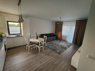 2 Rooms Apartment I love Tea - Bucharest - 5