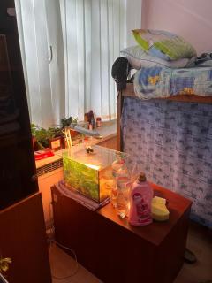ArArAt-HOLOSIIVSKYI Hostel KYIV - Kiev - 5