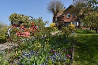Hotel/Pension Bradhering - Ahrenshoop - 4