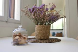 Bright and Cozy Bauhaus Gem - Ra‘ananna - 9
