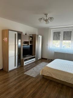 Anastasia Apartament - Oradea - 6