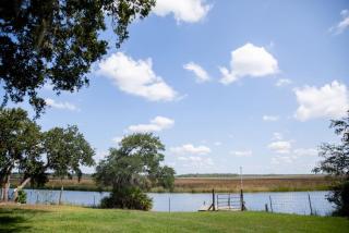 Cypress Landing - Pass Christian - 6