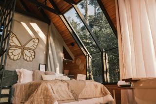 Cabanas Vale da Pedra - 7