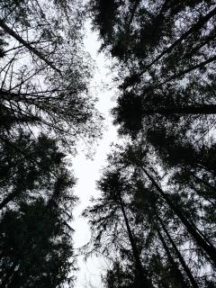 Pohoda u Crhů Senožaty - 1