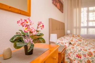 Apartamento VELANSIS - 1