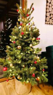 Widokowo - Domki z widokiem na Śnieżkę z Jacuzzi i Sauną - 1