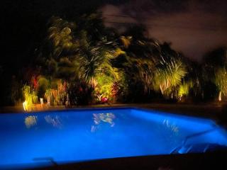 Sea Cret Hideway Pool Home - Naples - 5