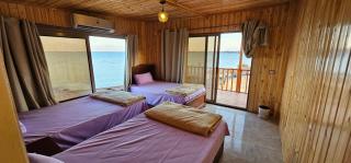 Mermaid camp - Nuweiba - 9