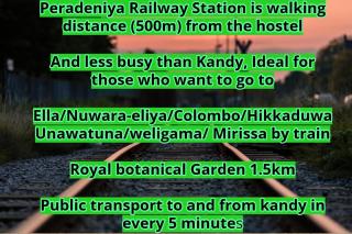 Catch The Ella Train Hostel - 7