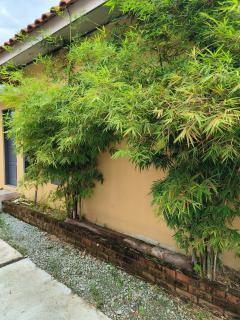 Laman Zavilla Dhoma 1 - Sungai Pelik - 8