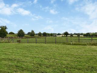 Chestnut Lodge - Old Buckenham - 2